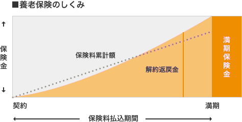 養老保険のしくみ