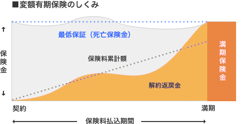 変額有期保険のしくみ